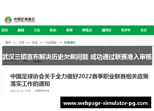 武汉三镇宣布解决历史欠薪问题 成功通过联赛准入审核