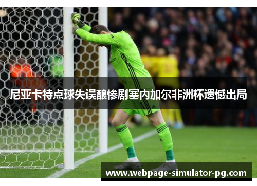 尼亚卡特点球失误酿惨剧塞内加尔非洲杯遗憾出局